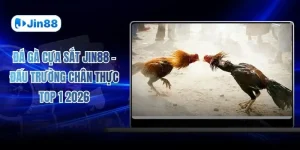 Đá Gà Cựa Sắt JIN88 - Đấu Trường Chân Thực Top 1 2026