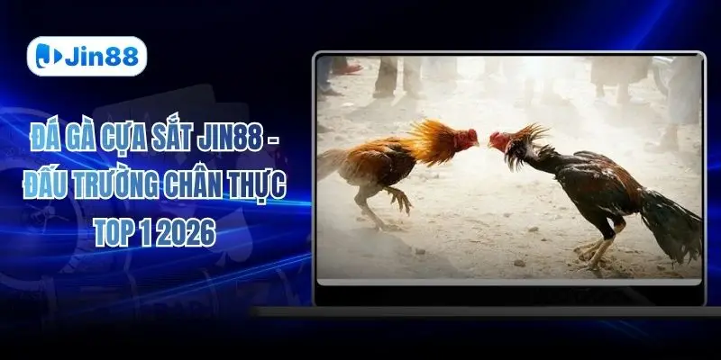 Đá Gà Cựa Sắt JIN88 - Đấu Trường Chân Thực Top 1 2026
